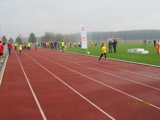 sztaf 19